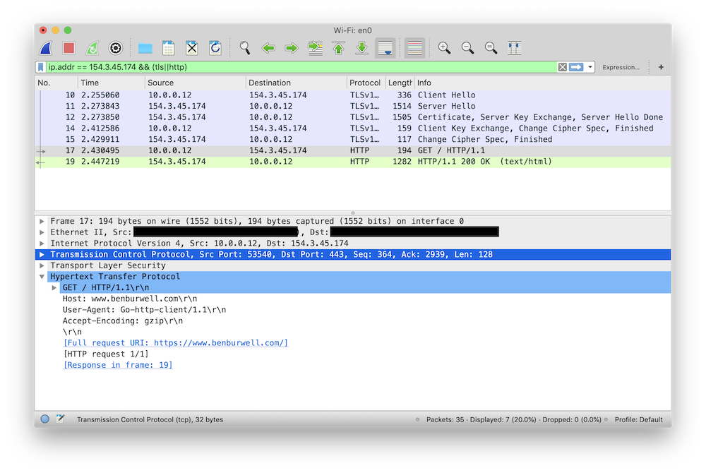 A Wireshark packet capture showing decrypted TLS traffic sent byGo